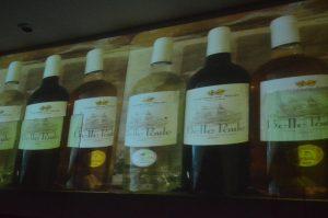 Conférence : La belle poule 14195359_1092273400820587_7451043689373933885_o