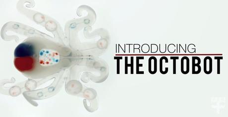 Le récap – Semaine 36 img_0811