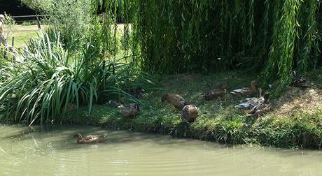 Sortie ludique : Le château des énigmes P1090194