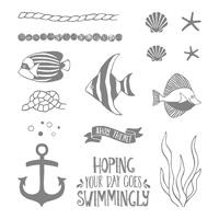 Carte Cadre … Carte scrap #625 141622S