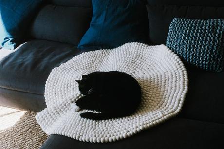 Miscellan’août – l’été dans ma jolie région miscellanaout-29