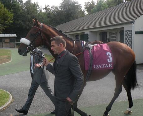 Chantilly 11 septembre 2016 Prix du Moulin de Lonchamp