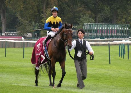 Chantilly 11 septembre 2016 Prix Niel