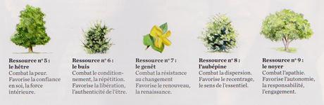 énergie des arbres L'énergie des arbres avec Patrice Bouchardon