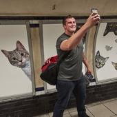 We just replaced 68 Tube adverts with pictures of cats. Here's why.