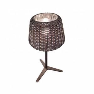 Journée nationale de la lumière lampe-exterieur-ralph-panzeri