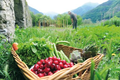 la cuisine bio la cuisine bio