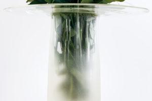 Vase Fall la fleur en valeur par Rémi Casado Vase-Fall-fleur-valeur-Rémi-Casado-1