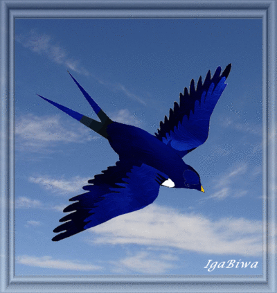 L'hirondelle Afficher l'image d'origine