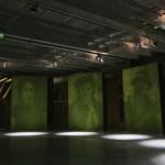 ARTY : Photos végétales ARTY : Photos végétales