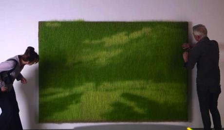 ARTY : Photos végétales Heather-Ackroyd-and-Dan-Harvey-10