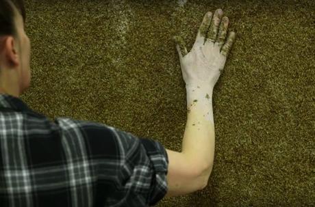 ARTY : Photos végétales Heather-Ackroyd-and-Dan-Harvey-9