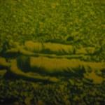 ARTY : Photos végétales ARTY : Photos végétales