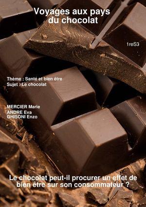 bienfaits du chocolat tpe tpe chocolat Compte Rendu Ninapretty