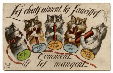 Pauvre minet (XIX et XXème) carte-postale-chat-saucisse