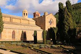 L’Asie à l’honneur, à l’Exposition ‘Orchidées à Fontfroide’ de l’Abbaye* 1