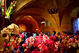 L’Asie à l’honneur, à l’Exposition ‘Orchidées à Fontfroide’ de l’Abbaye* 7