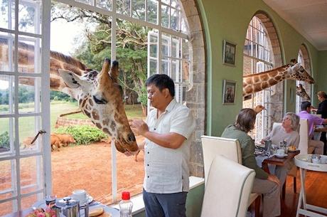 Unusual-Hotel-Giraffe-Manor-Kenya.-9