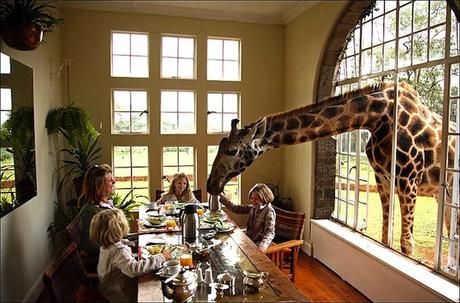 Giraffe-Manor-Nairobi-Kenya