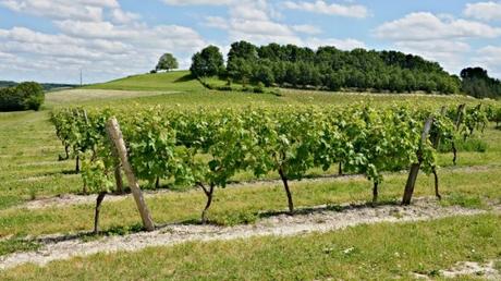 La Nouvelle-Aquitaine lance un plan régional pour réduire durablement l’utilisation des pesticides dans l’agriculture. La Nouvelle-Aquitaine lance un plan régional pour réduire durablement l’utilisation des pesticides dans l’agriculture.