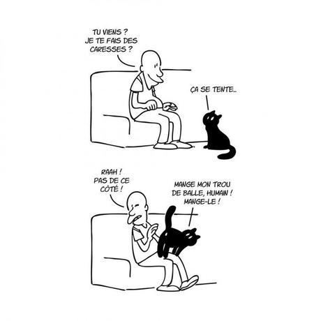 Chronique Putain de chat (Lapuss') - Monsieur Pop Corn Chronique Putain de chat (Lapuss') - Monsieur Pop Corn