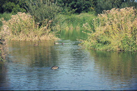 Pumpkin spices et parc Pierre-Montgroux Pumpkin spices et parc Pierre-Montgroux
