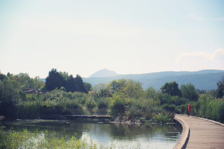 Pumpkin spices et parc Pierre-Montgroux Pumpkin spices et parc Pierre-Montgroux