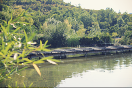 Pumpkin spices et parc Pierre-Montgroux Pumpkin spices et parc Pierre-Montgroux