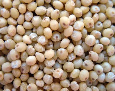 cuisiner le millet bio Vivre VG – Manger vivre et cuisiner sainement