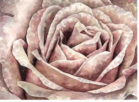 Rose des sables rose_des_sables_aquarelle_astor