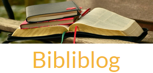 Le Blog du Moment : Bibliblog