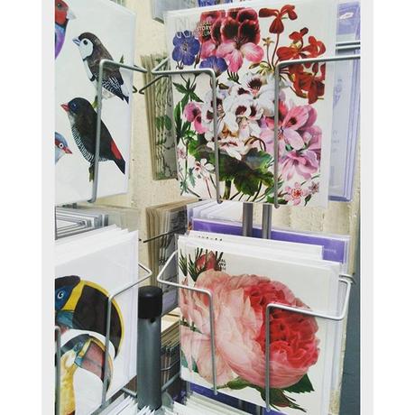 Inspiration du jour : Jolies cartes postales bucoliques trouvées dans une librairie de la rue de Lévis #paris17 #paris #iloveparis #parismaville #parismonamour #inspirations #flower #flowers #parisienne #parisien #postalcard @Rue de Lévis