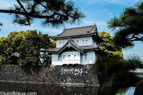Visa Vacances-Travail au japon : l'expérience de Charly, prof de FLE à Lyon-Japon ! Photo