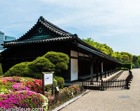 Visa Vacances-Travail au japon : l'expérience de Charly, prof de FLE à Lyon-Japon ! Photo