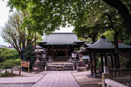 Visa Vacances-Travail au japon : l'expérience de Charly, prof de FLE à Lyon-Japon ! Photo
