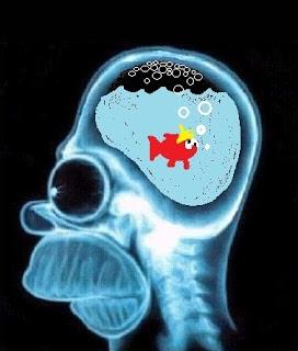 gris cendré gris cendré