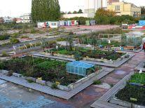 jardin urbain = jardin toxique (1)