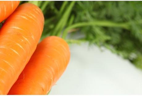 quelle huile vegetale pour preparer sa peau au soleil Quelles huiles végétales pour préparer l’été? Echo Web