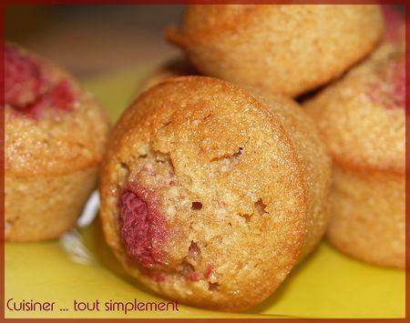 financier_speculoos_framboise_5