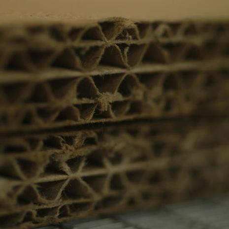 Joli carton Joli carton