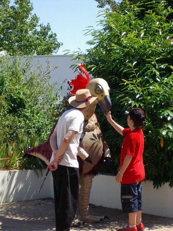 caracou caracou__1_