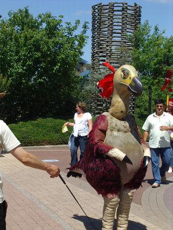caracou caracou__3_