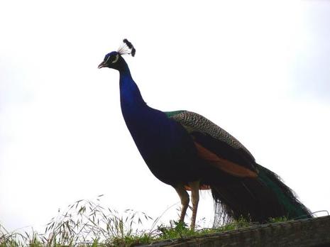 Contre-jour retouché Contre-jour retouché