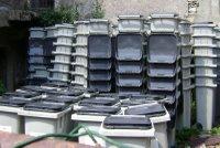 Bac gris : la distribution a commencé
