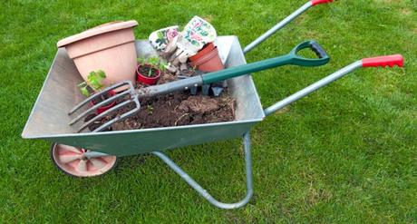 Que faire au jardin au mois d’Octobre Que faire au jardin au mois d’Octobre