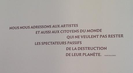 Frans Krajcberg, Un artiste en résistance Au Musée de l'Homme
