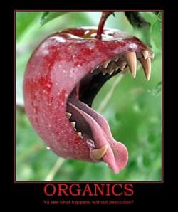 Monsanto, l’éternel coupable organic food without pesticides
