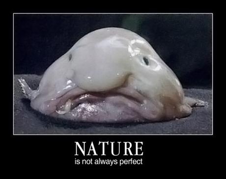 Monsanto, l’éternel coupable nature is not always perfect