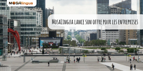 MosaLingua lance son offre pour les entreprises MosaLingua lance son offre pour les entreprises