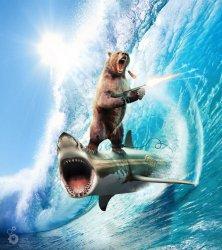 l'ours qui fume un cigare et tire à la mitraillette en faisant du surf sur un requin
